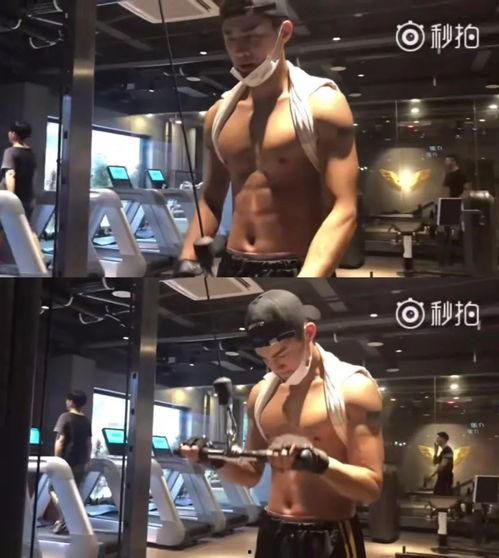 健身最新爆料视频大全集,视频大全集深度解析 第2张 健身最新爆料视频大全集,视频大全集深度解析 第2张
