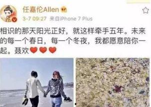 任嘉伦和伊卡璐最新爆料,揭秘明星幕后故事与时尚潮流风向标  第3张