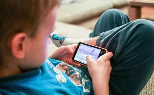 诈骗网红爆料案例最新,网络红人如何陷入陷阱，损失惨重